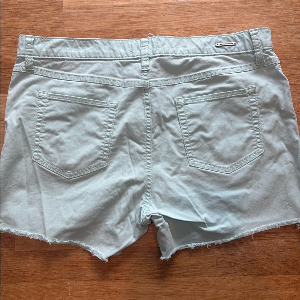 Carve Designs Light Blue Women Shorts - Picture 3 of 3